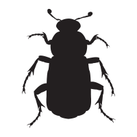Borer icon