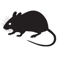 Rodents icon